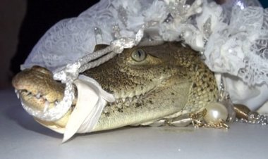 Meya  Yasezeranye kubana akaramata n'Ingona.