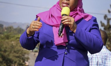 Tanzania: Ijambo rya Perezida ryagize ingaruka kuba foromo n'ababyaza.