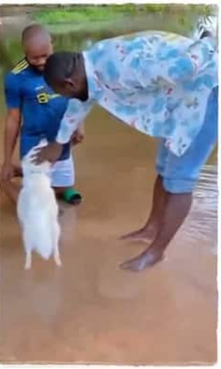 Yabatije Imbwa ye kugirango ibwagure vuba