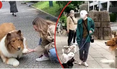 Yakabije inzozi ze zokuba imbwa