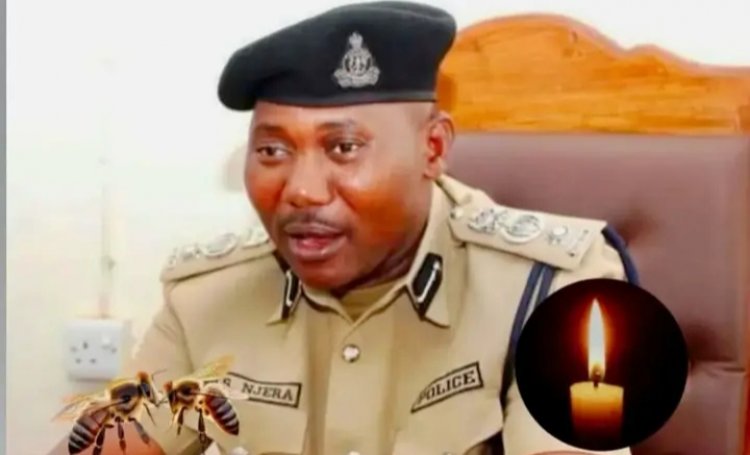 Umupolisi yariwe n'inzuki kugeza ashizemo umwuka