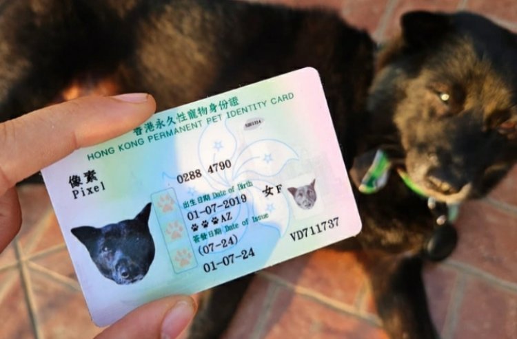 HONGKONG: Amwe mu matungo yo mu rugo  atunze indangamuntu