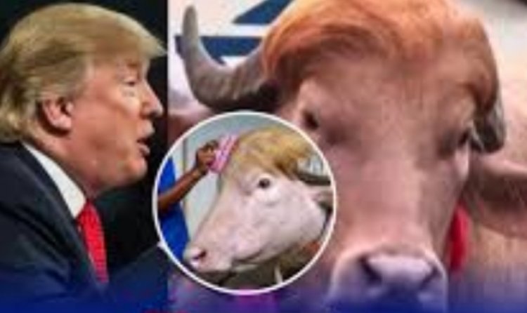 Ikimasa gisa na Trump gikomeje kurikoroza